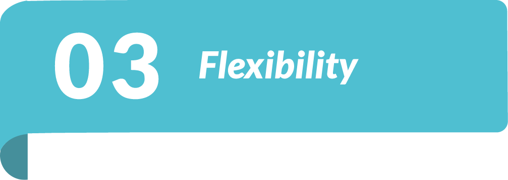 03 flexibility